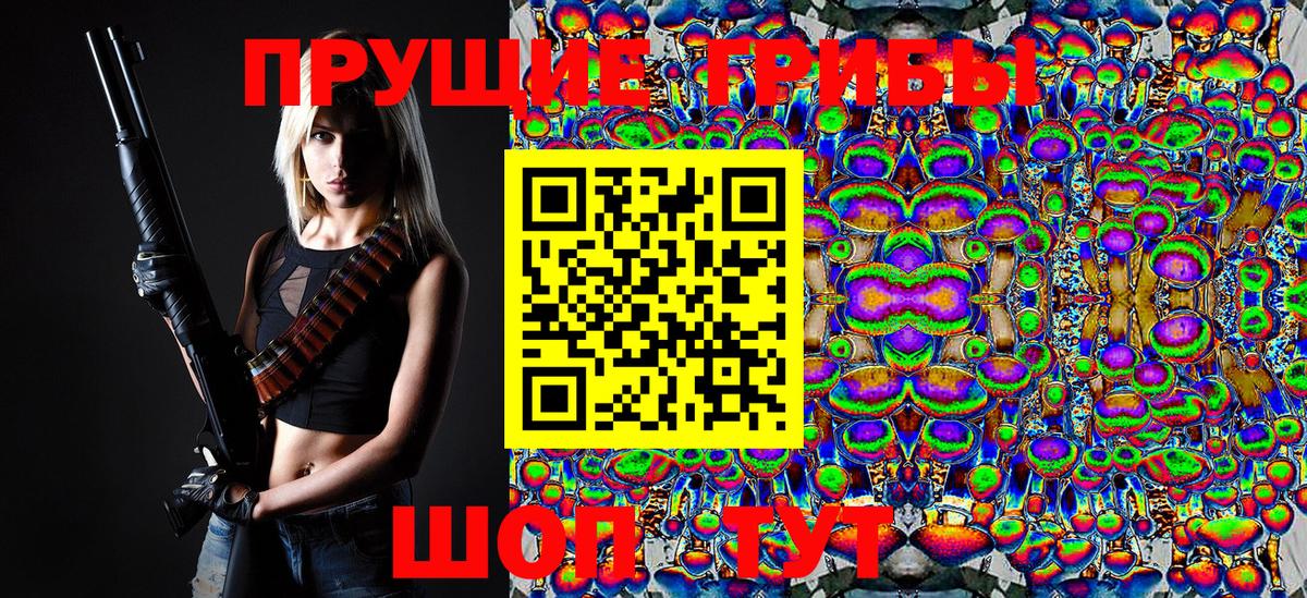 Альметьевск  Псилоцибиновые грибы Magic Shrooms  Галлюциногенные грибы Magic Shrooms  Вход с VPN 